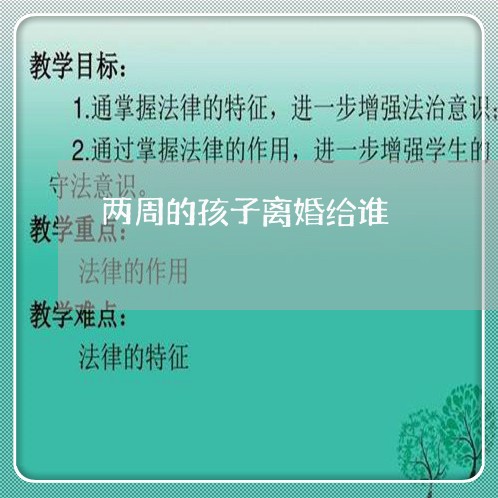 两周的孩子离婚给谁/2023110440683