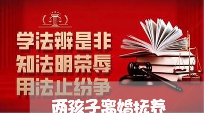 两孩子离婚抚养/2023121952691