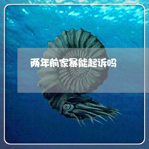 两年前家暴能起诉吗/2023110882625