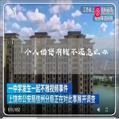 个人借贷有钱不还怎么办/2023110815938