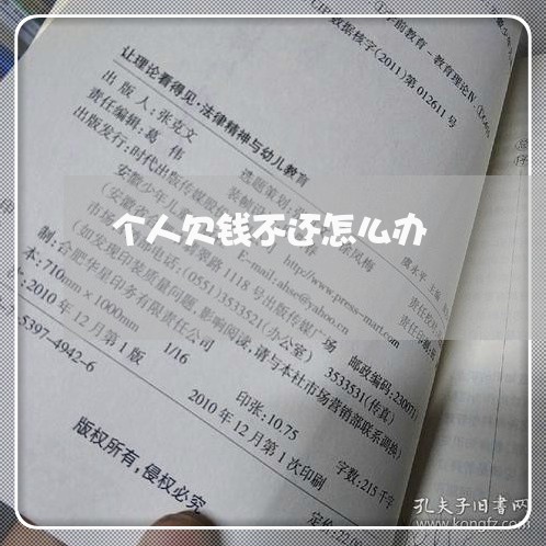 个人欠钱不还怎么办/2023110978371