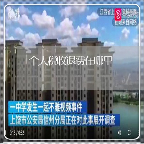 个人税收退费在哪里/2023061404948