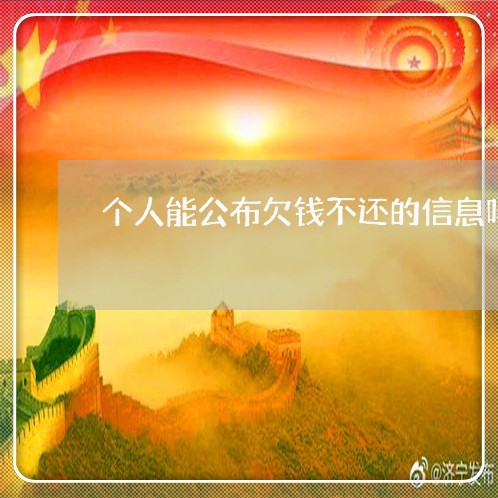 个人能公布欠钱不还的信息吗/2023110616951