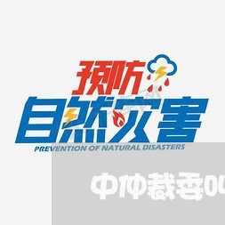 中仲裁委叫协商还款/2023092312726