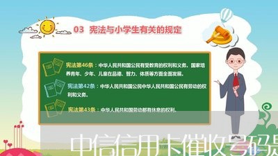 中信信用卡催收号码是多少/2023092953837