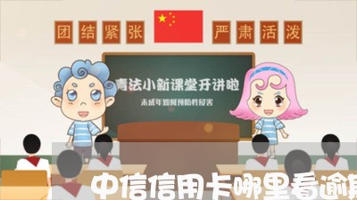 中信信用卡哪里看逾期/2023112674827