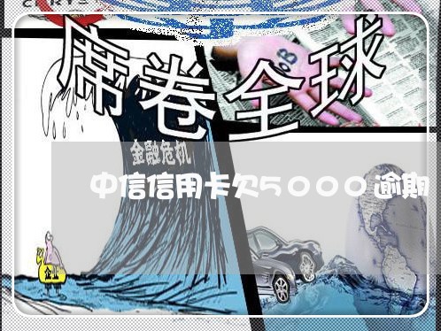 中信信用卡欠5000逾期/2023112698268