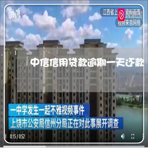 中信信用贷款逾期一天还款/2023071462825