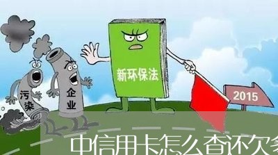 中信用卡怎么查还欠多少钱/2023072106069