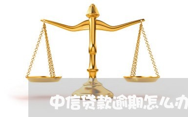 中信贷款逾期怎么办停息挂账/2023072361703