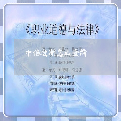 中信逾期怎么查询/2023081279682