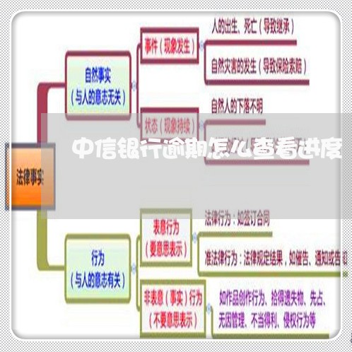 中信银行逾期怎么查看进度/2023052794915