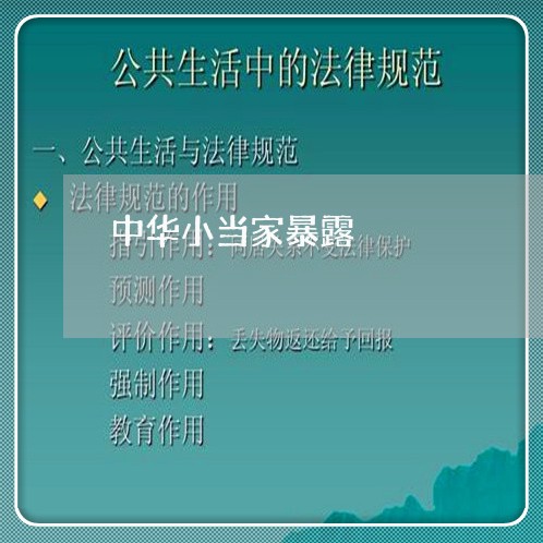 中华小当家暴露/2023122187271