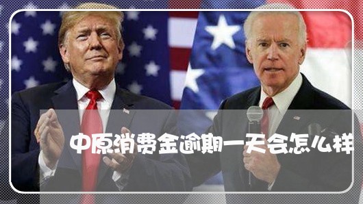 中原消费金逾期一天会怎么样/2023091663815