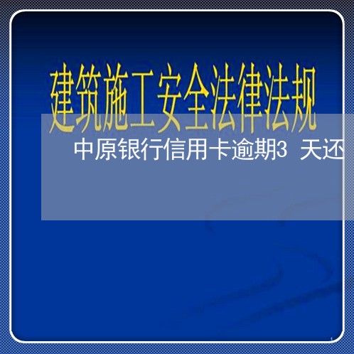 中原银行信用卡逾期3天还/2023071448604