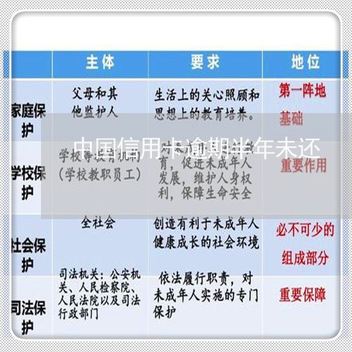 中国信用卡逾期半年未还/2023101039615