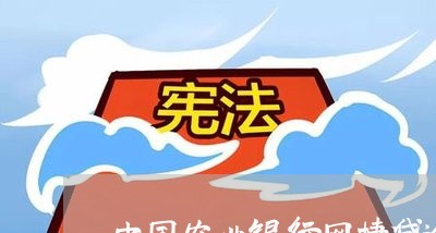 中国农业银行网捷贷逾期后/2023052850703