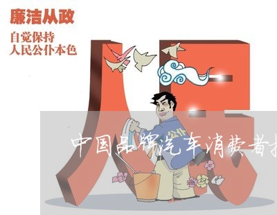 中国品牌汽车消费者投诉/2023031863036