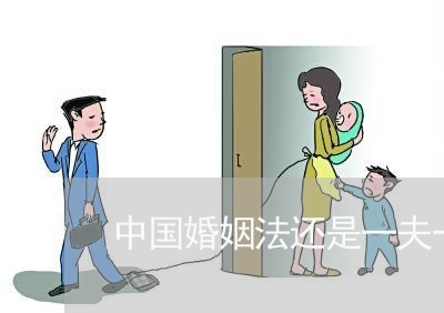 中国婚姻法还是一夫一妻制/2023112352793