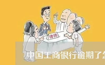 中国工商银行逾期了怎么还/2023061578170