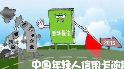 中国年轻人信用卡逾期总额/2023050460726