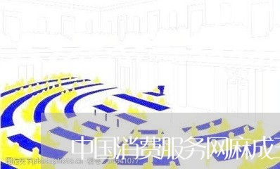 中国消费服务网麻成玉现状/2023040362604