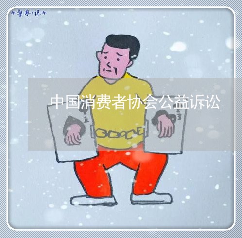 中国消费者协会公益诉讼/2023062684734