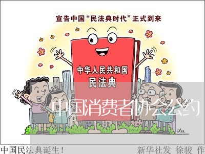 中国消费者协会公约/2023060804030