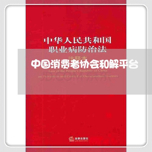 中国消费者协会和解平台/2023062657050