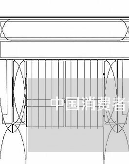 中国消费者协会失败/2023060820263