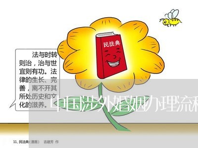 中国涉外婚姻办理流程图/2023112865058