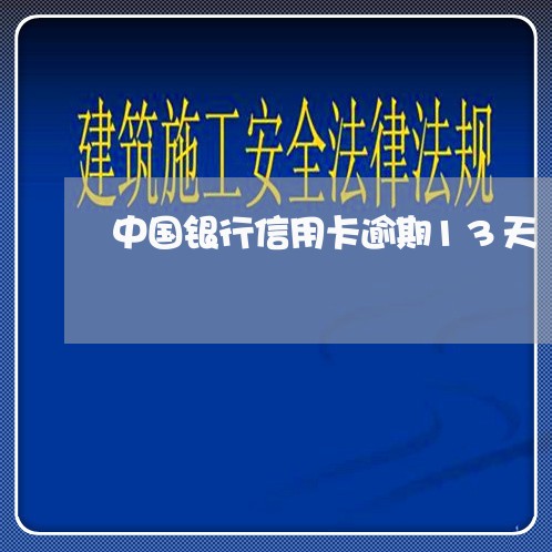 中国银行信用卡逾期13天/2023060696279