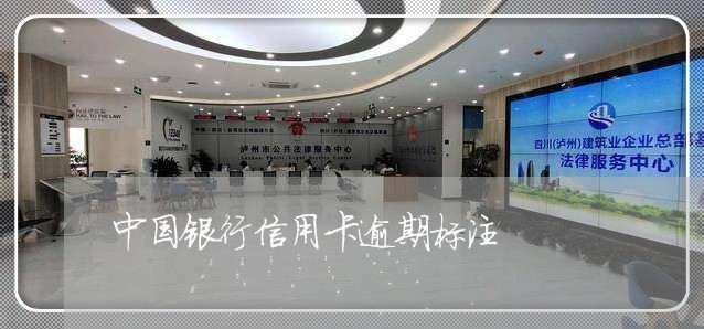 中国银行信用卡逾期标注/2023121611816