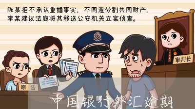 中国银行外汇逾期/2023081380694