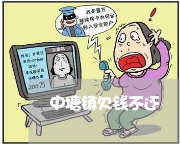 中塘镇欠钱不还/2023111641724