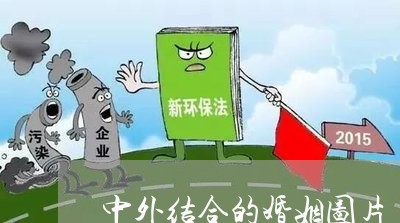 中外结合的婚姻图片/2023081861896