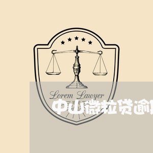 中山微粒贷逾期还款协商/2023081551693