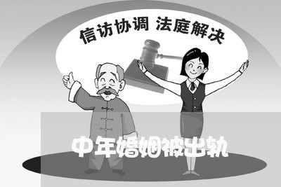 中年婚姻被出轨/2023090650692