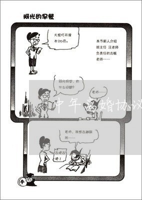 中年离婚协议怎样写才有效/2023111413835