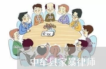 中牟县家暴律师/2023090859703