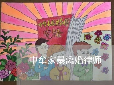 中牟家暴离婚律师/2023093072836