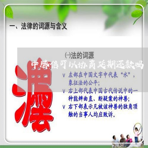 中腾信可以协商延期还款吗/2023100686179