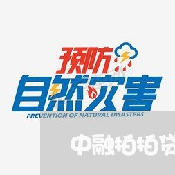 中融拍拍贷逾期会怎么样/2023062206268