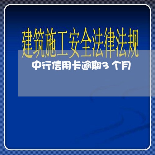 中行信用卡逾期3个月/2023121951602