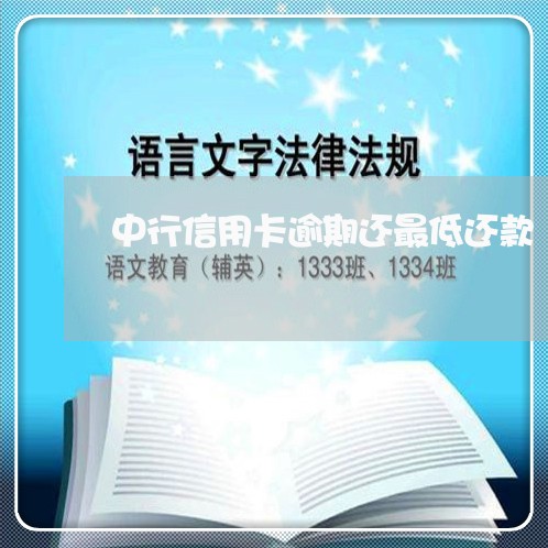 中行信用卡逾期还最低还款/2023070952401