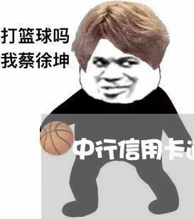 中行信用卡逾期还最低还款/2023111647380