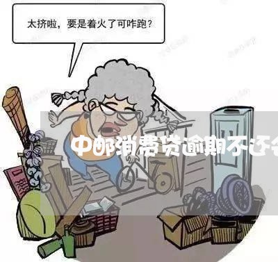 中邮消费贷逾期不还会被起诉吗/2023053080604