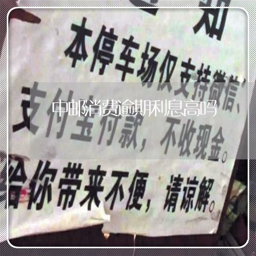 中邮消费逾期利息高吗/2023111594979