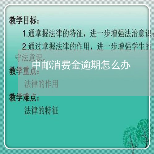 中邮消费金逾期怎么办/2023111430683