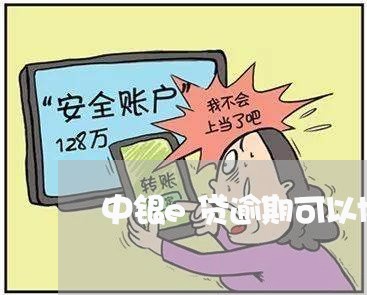 中银e贷逾期可以协商分期还款吗/2023100741493